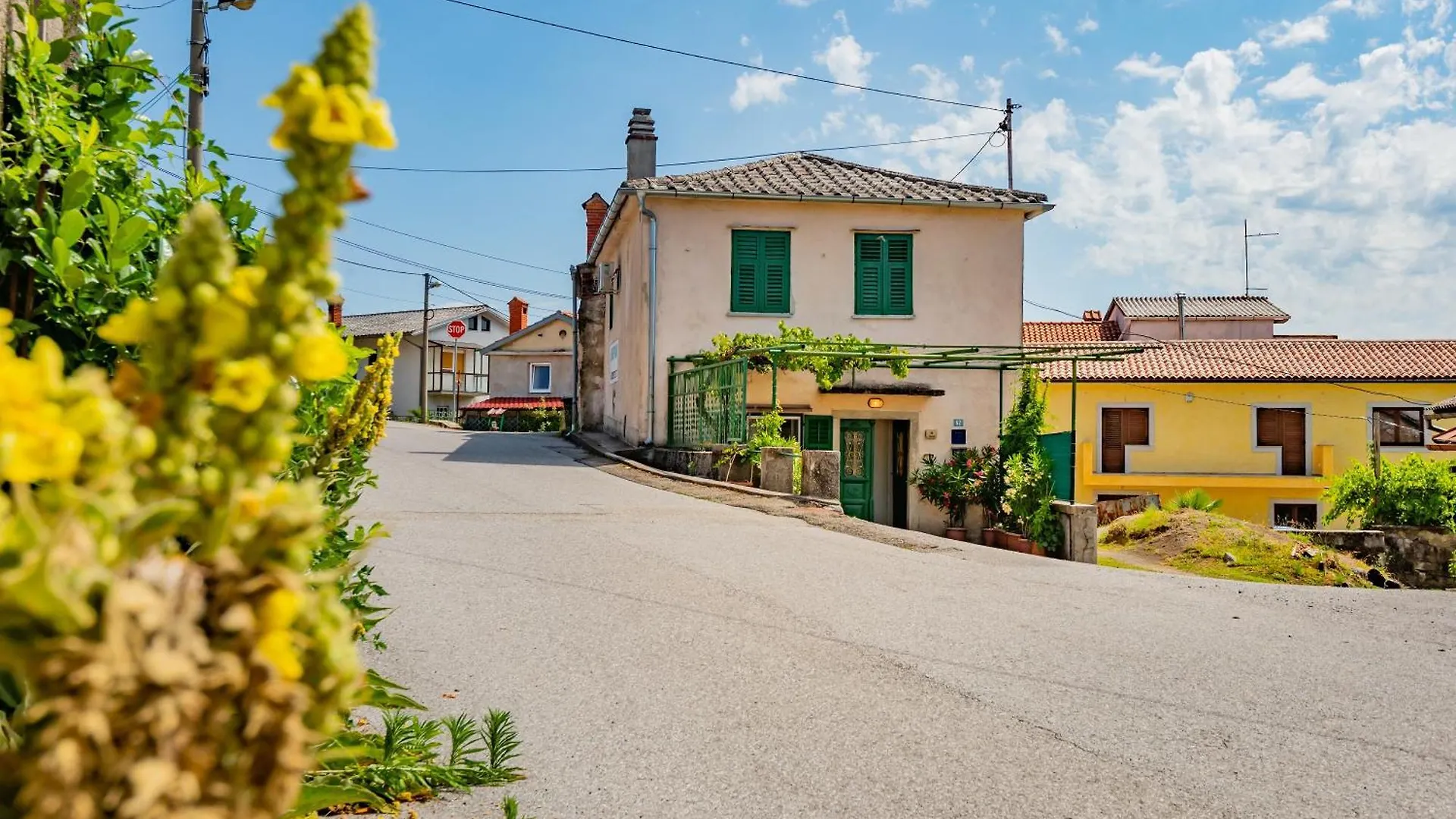 Apartment Sapjane Pilcic